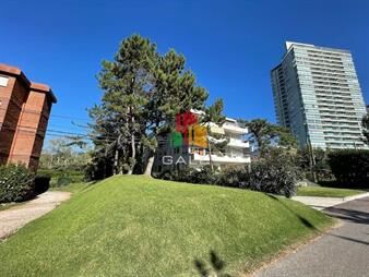 https://web5.gallito.com.uy/apartamento-en-metros-del-mar-punta-del-este-inmuebles-24490796