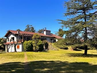https://www.gallito.com.uy/chacra-en-venta-laguna-del-diario-inmuebles-24514692