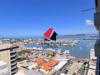 https://web5.gallito.com.uy/alquiler-verano-2024-inmuebles-24847236