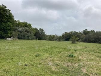 https://www.gallito.com.uy/venta-chacra-7-hectareas-ruta-39-inmuebles-24598532