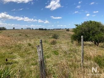 https://www.gallito.com.uy/campo-en-venta-de-10-hectareas-inmuebles-24987536