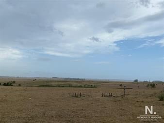 https://www.gallito.com.uy/venta-de-chacra-en-rincon-de-jose-ignacio-5-hectareas-inmuebles-24987677