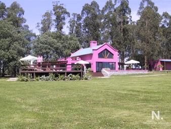 https://web5.gallito.com.uy/espectacular-chacra-en-venta-la-pataia-inmuebles-24990391