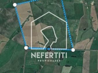 https://web5.gallito.com.uy/150-hectareas-a-12km-de-florida-inmuebles-25022605