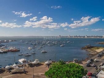 https://web5.gallito.com.uy/puerto-punta-del-este-maldonado-inmuebles-25022908