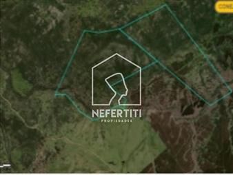 https://web5.gallito.com.uy/oportunidad-campo-de-261-hectareas-con-casa-en-lavalleja-inmuebles-25032829