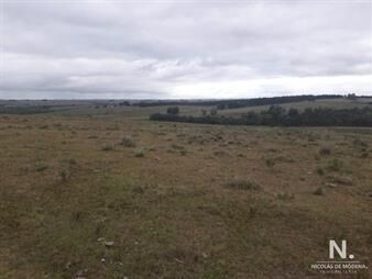 https://www.gallito.com.uy/campo-de-47-has-en-paraje-los-caracoles-consulte-inmuebles-25033634