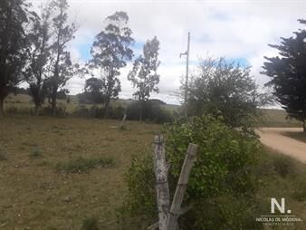 https://web5.gallito.com.uy/campo-de-12-has-en-paraje-jose-ignacio-consulte-inmuebles-25033639