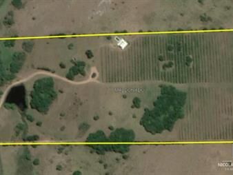 https://www.gallito.com.uy/chacra-en-venta-en-pueblo-eden-maldonado-inmuebles-25034036