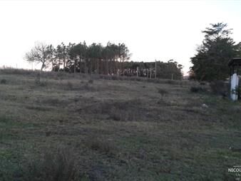 https://www.gallito.com.uy/campo-proximo-a-ruta-12-inmuebles-25034132