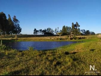 https://www.gallito.com.uy/campo-de-5-hectareas-en-venta-inmuebles-25034367