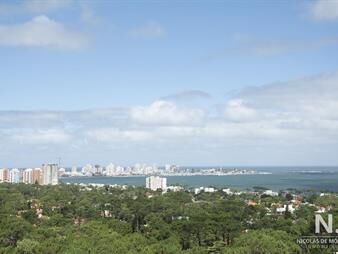 https://web5.gallito.com.uy/hermoso-departamento-en-venta-inmuebles-25034657