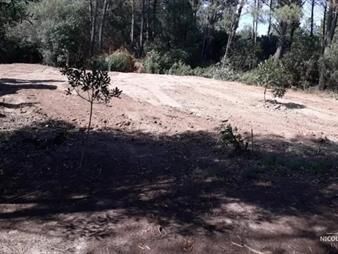 https://www.gallito.com.uy/vende-terreno-en-ocean-park-punta-ballena-inmuebles-25035711