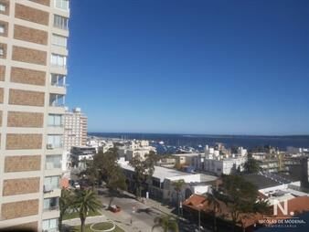 https://web5.gallito.com.uy/venta-apartamento-de-1-dormitorio-en-peninsula-inmuebles-25036333