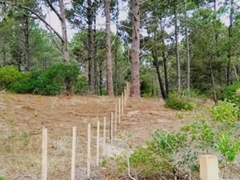 https://web5.gallito.com.uy/venta-terreno-en-punta-ballena-gran-oportunidad-inmuebles-25037296