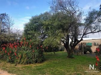 https://www.gallito.com.uy/terreno-a-metros-del-mar-en-venta-552-mts-el-chorro-inmuebles-25042004