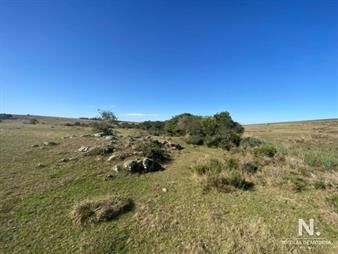 https://www.gallito.com.uy/ideal-opcion-de-inversion-campo-en-garzon-inmuebles-25042953