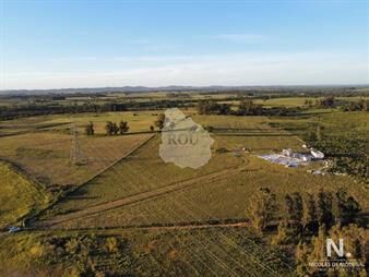 https://www.gallito.com.uy/vende-campo-de-4000m2-cerca-de-san-carlos-inmuebles-25043307