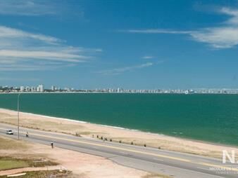https://web5.gallito.com.uy/departamento-a-estrenar-en-playa-mansa-inmuebles-25033934