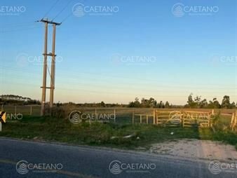 https://web5.gallito.com.uy/chacra-en-venta-6-has-inmuebles-24184279