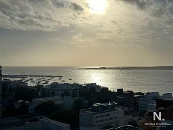 https://web5.gallito.com.uy/vende-apartamento-de-3-dormitorios-en-torre-gattas-punta-d-inmuebles-25105801