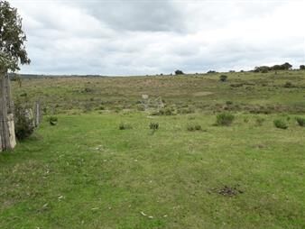 https://web5.gallito.com.uy/campo-en-las-cañas-de-59-has-cuenta-con-casa-luz-instru-inmuebles-23748096