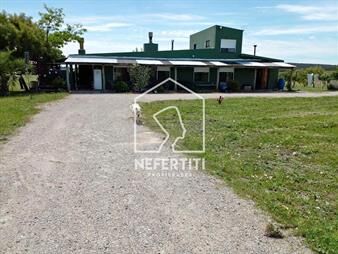 https://web5.gallito.com.uy/chacra-de-20-hectareas-en-ruta-12-inmuebles-25194059
