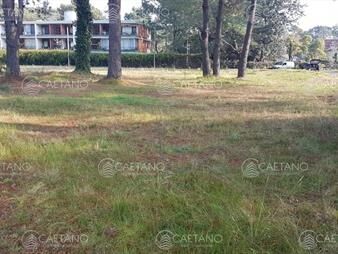https://web5.gallito.com.uy/terreno-en-cantegril-inmuebles-25198076