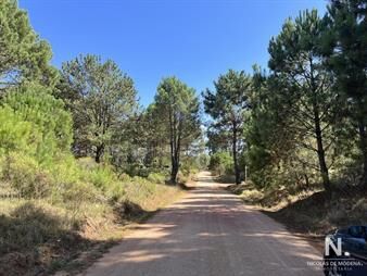 https://web5.gallito.com.uy/terreno-en-venta-en-la-barra-rodeado-de-bellos-bosques-inmuebles-23353450