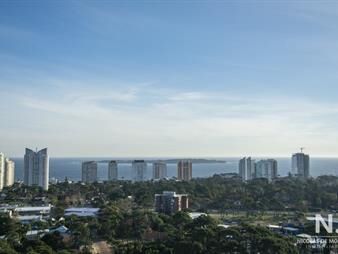 https://web5.gallito.com.uy/apartamento-en-venta-de-1-dormitorio-en-edificio-lafayette-inmuebles-25034927