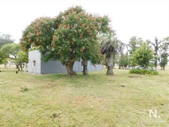 https://www.gallito.com.uy/campo-chacra-en-venta-entrada-de-pueblo-garzon-35-hectare-inmuebles-24987336