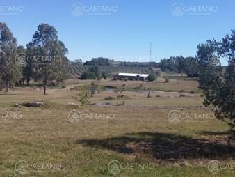 https://web5.gallito.com.uy/chacra-sobre-ruta-12-en-venta-inmuebles-23826643