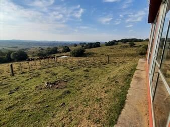 https://www.gallito.com.uy/chacra-en-zona-pueblo-eden-inmuebles-24987885