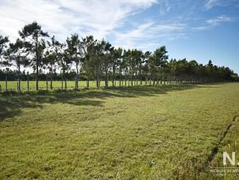 https://web5.gallito.com.uy/chacra-5-ha-sobre-ruta-9-jose-ignacio-inmuebles-24987947