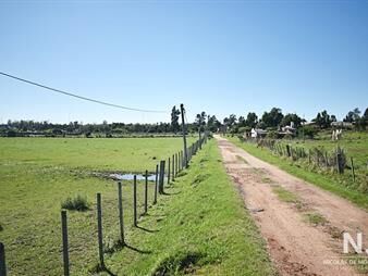 https://www.gallito.com.uy/chacra-san-carlos-ruta-9-inmuebles-25036712