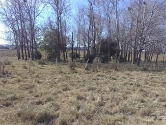 https://web5.gallito.com.uy/chacra-en-venta-de-10-hectareas-minas-lavalleja-inmuebles-24988094