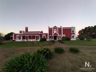https://web5.gallito.com.uy/hermosa-chacra-excelente-inversion-inmuebles-24745253