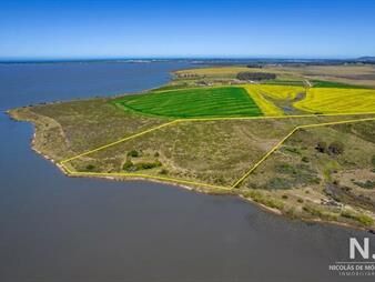 https://web5.gallito.com.uy/chacra-con-costa-a-laguna-del-sauce-maldonado-punta-del-inmuebles-24994160