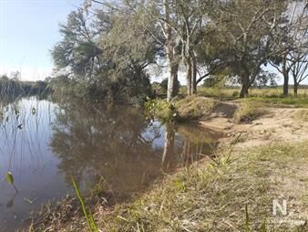 https://web5.gallito.com.uy/campo-de-31-has-proximo-a-ruta-inmuebles-25042432