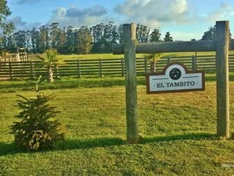 https://web5.gallito.com.uy/chacra-en-venta-de-6-hectareas-en-la-pataia-maldonado-inmuebles-24749521