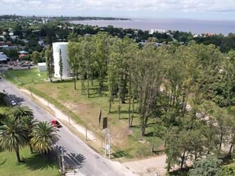 https://web5.gallito.com.uy/terreno-barrio-historico-inmuebles-24744714