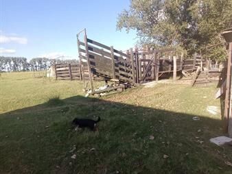 https://web5.gallito.com.uy/venta-chacra-los-cerrillos-inmuebles-25337920