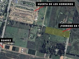 https://www.gallito.com.uy/terreno-en-venta-proximo-a-car-one-y-al-complejo-luis-suare-inmuebles-24771965