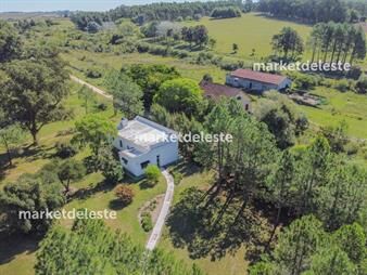 https://web5.gallito.com.uy/chacra-patrimonial-en-jose-ignacio-inmuebles-25366942