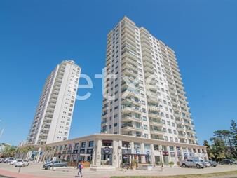 https://web5.gallito.com.uy/monoambiente-studio-punta-del-este-inmuebles-20769883