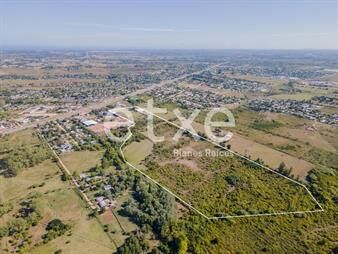 https://www.gallito.com.uy/terreno-logistico-en-venta-metros-ruta-8-inmuebles-21685214