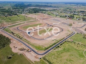 https://www.gallito.com.uy/terreno-en-venta-los-olivos-de-los-horneros-inmuebles-24480655