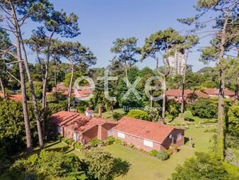 https://web5.gallito.com.uy/casa-en-venta-enorme-terreno-cantegril-punta-del-este-inmuebles-24843468