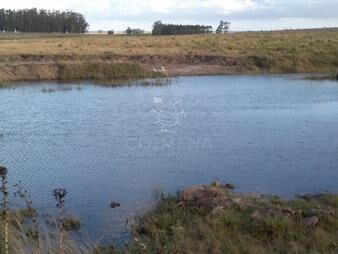 https://www.gallito.com.uy/campo-de-35-has-buen-suelo-con-tajamar-cañada-agua-perman-inmuebles-25405919