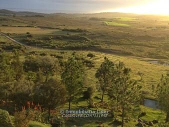 https://www.gallito.com.uy/venta-chacra-de-5-has-al-pie-del-cerro-pan-de-azucar-inmuebles-25433372
